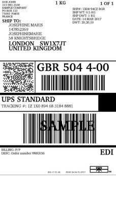 Can I Print a Shipping Label at UPS? An Examination of the Options and Considerations